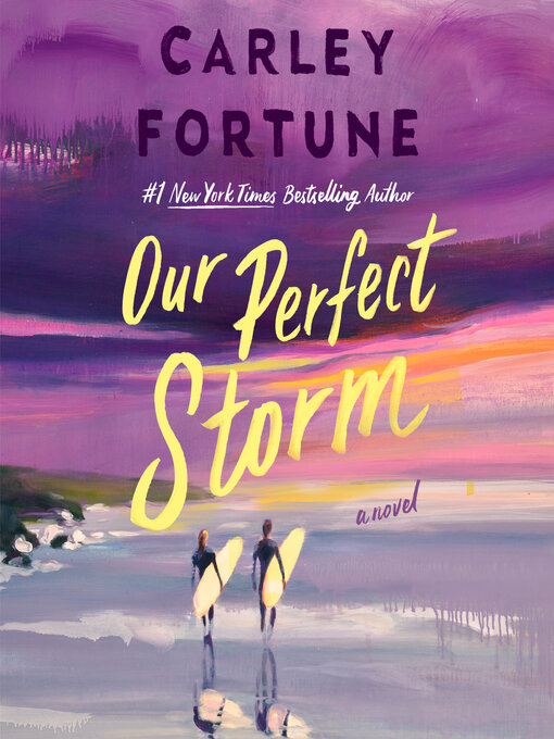 Cover image for Our Perfect Storm